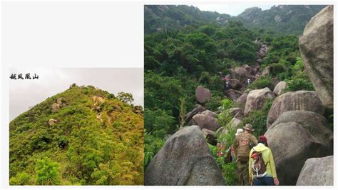 珠海凤凰山|全部免费！凤凰山绝美登山步道，条条都美呆了！